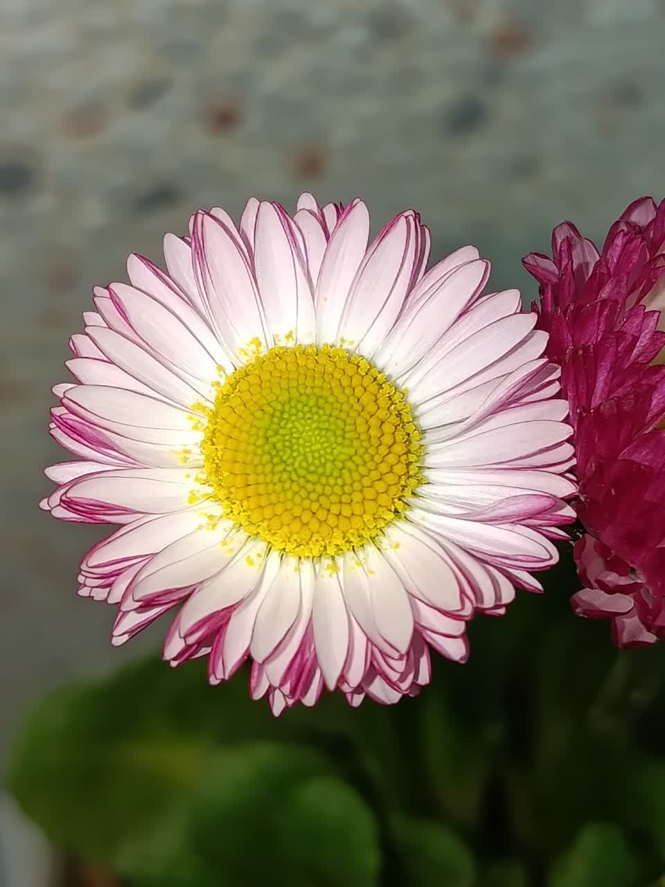 غرفه